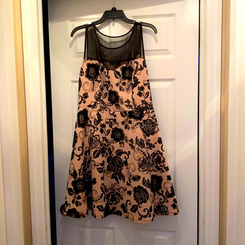 Trixxi Mesh Fit and Flare Dress